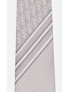 Oblique Stripe Silk Tie Grey - DIOR - BALAAN 5