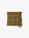 Check Wool Cashmere A-Line Skirt Oxide - BURBERRY - BALAAN 2