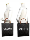 Small Vertical Triomphe Canvas and Calfskin Cabas Tote Bag Tan - CELINE - BALAAN 6