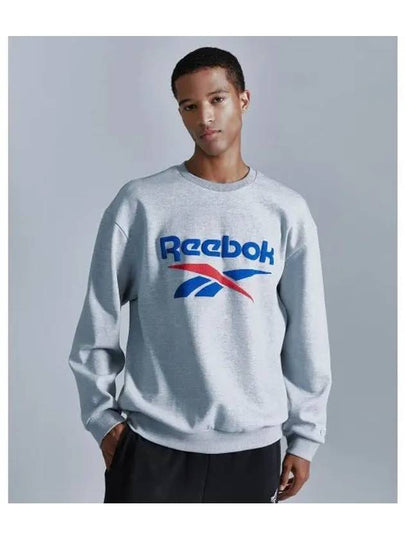 Basic sweatshirt gray - REEBOK - BALAAN 1