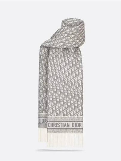 Christian Oblique Scarf Muffler Shawl 51DOB209L080 CO95 - DIOR - BALAAN 2