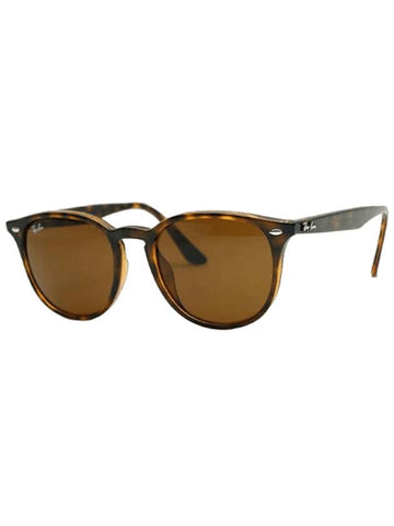 Eyewear Pantos Sunglasses Brown - RAY-BAN - BALAAN 1