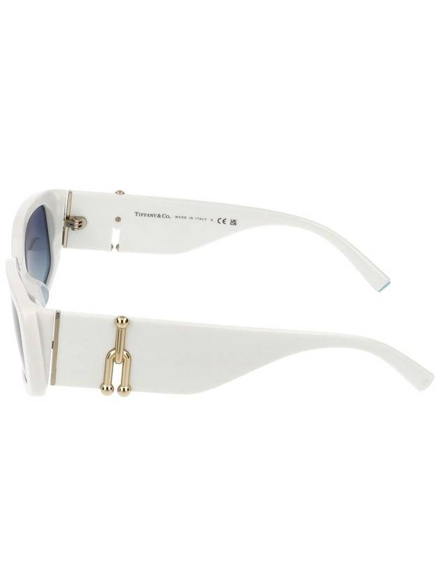 Tiffany & Co. Sunglasses - TIFFANY & CO. - BALAAN 3