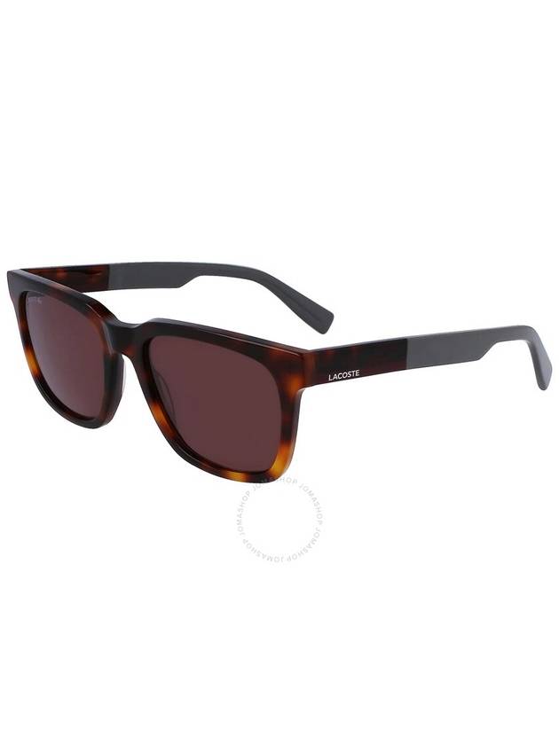 Lacoste Brown Sport Men's Sunglasses L996S 214 54 - LACOSTE - BALAAN 1