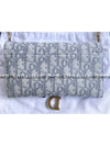 Oblique Saddle Chain Wallet Cross Bag Gray - DIOR - BALAAN.