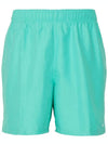 Essential 5 Inch Bali Swim Shorts Washed Teal - NIKE - BALAAN.