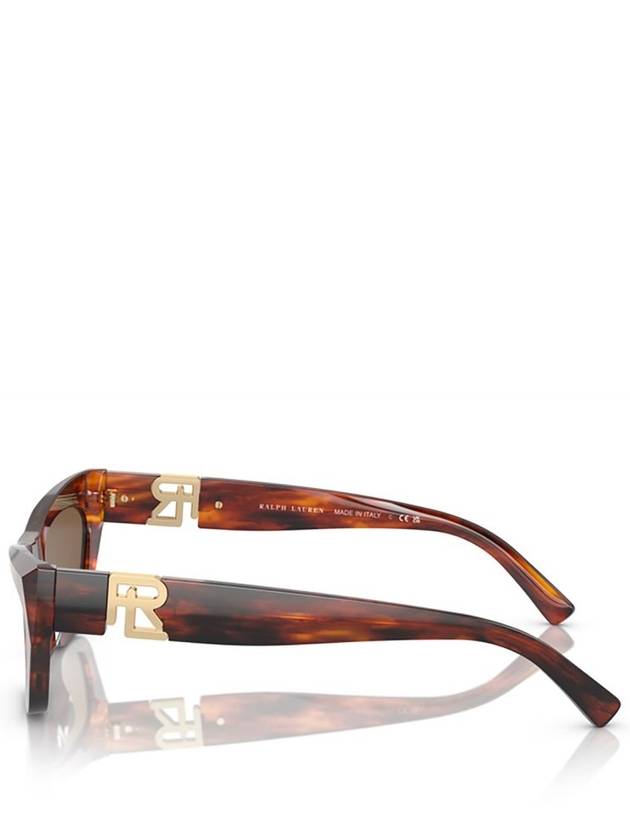 Ralph Lauren RL8218U Striped Havana - RALPH LAUREN - BALAAN 3