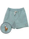 Logo Patch Striped Swim Shorts Green - POLO RALPH LAUREN - BALAAN 2