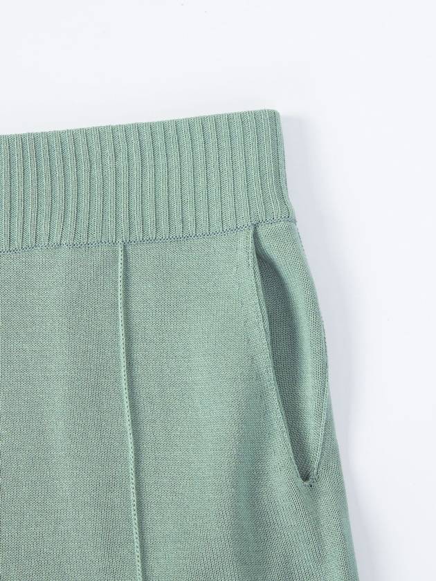 Pin Tuck Wide Knit Pants Mint 3Colors - CALLAITE - BALAAN 4