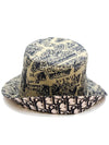 Teddy-D Plan De Paris Reversible Bucket Hat Beige - DIOR - BALAAN 4