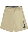 Genuine Dry fit challenger 9 inch shorts DX0905 276 - NIKE - BALAAN 3