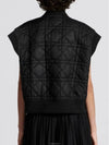 Macrocannage Quilted Technical Taffeta Vest Black - DIOR - BALAAN 5