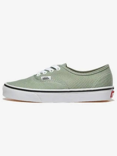 Authentic Color THEORY Iceberg Green - VANS - BALAAN 1