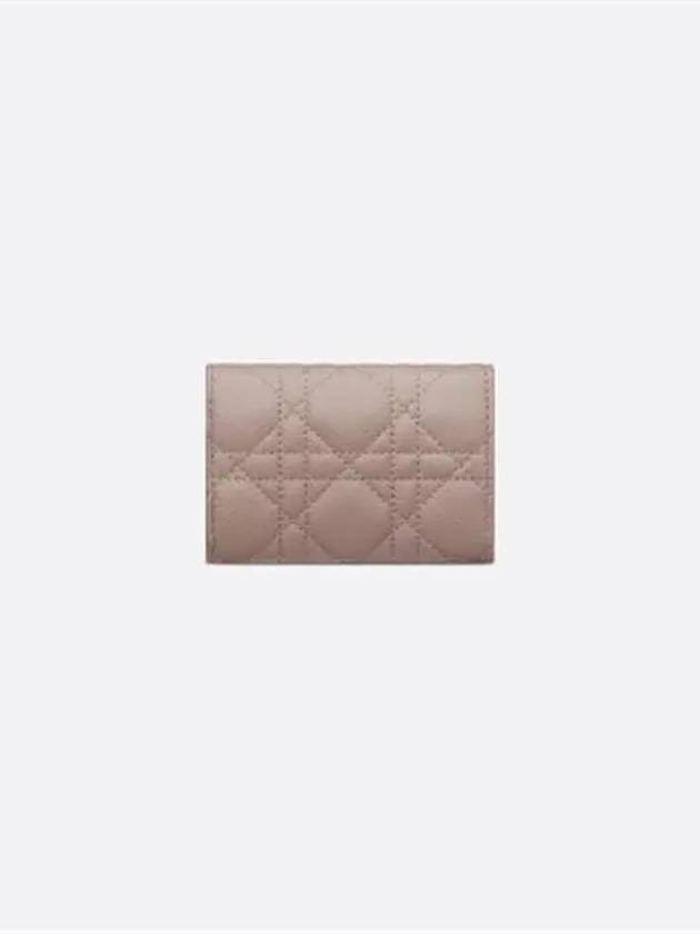 Caro XS Supple Cannage Calfskin Card Wallet Warm Taupe - DIOR - BALAAN 5