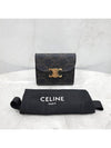 Lux You Small Triomphe Flap Wallet 10D782CQH - CELINE - BALAAN 6