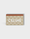 Logo Print Triomphe Canvas Card Holder Grey - CELINE - BALAAN 2