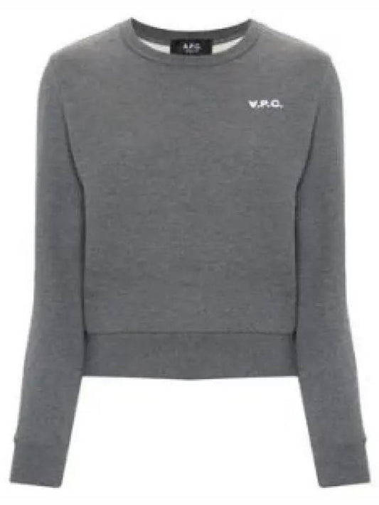 Boxy Petit VPC Sweatshirt Grey - A.P.C. - BALAAN 2