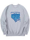 ball pool sweatshirt gray - RADINEO - BALAAN 1