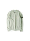 Wappen Patch Garment Dyed Sweatshirt Pistachio - STONE ISLAND - BALAAN 2