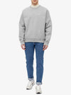 NRG Solo Swoosh Crew Neck Fleece Sweatshirt Grey - NIKE - BALAAN 5