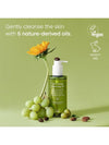 [Purito Seoul] From Green Cleansing Oil Set - PURITO SEOUL - BALAAN 2