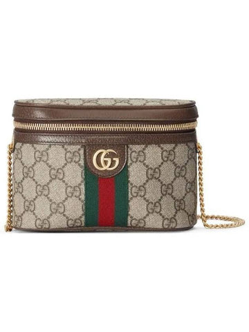 Ophidia Web Web Belt Bag Brown - GUCCI - BALAAN 1