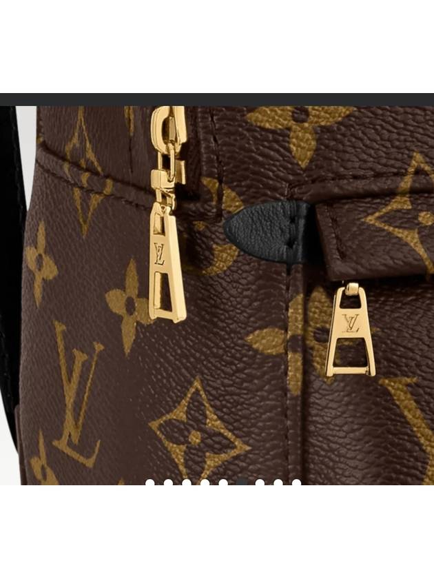 Palm Springs Monogram Mini Backpack Brown - LOUIS VUITTON - BALAAN 7