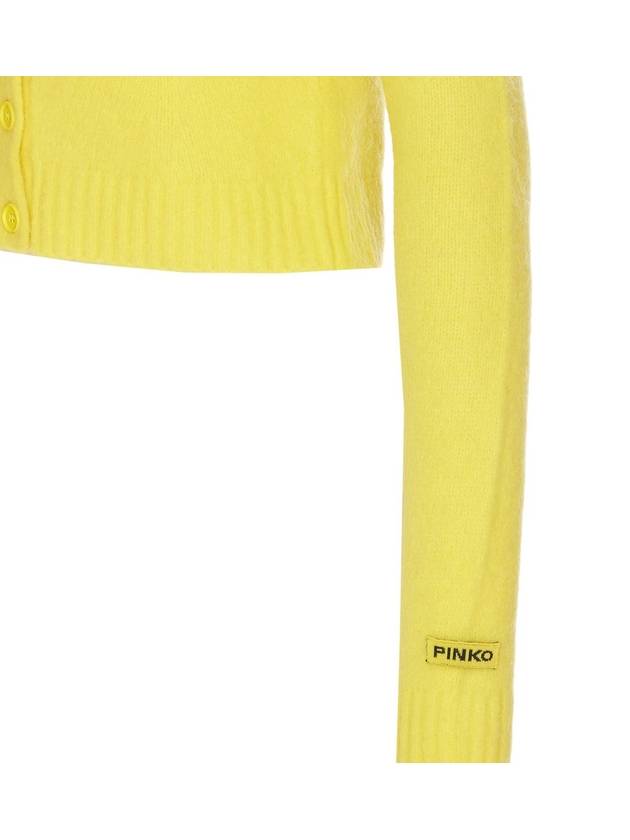 Pinko Knitwear - PINKO - BALAAN 3