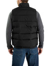 Montana loose fit insulated vest - CARHARTT - BALAAN 3