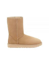 Classic Shorts 2 Winter Boot Mustard Seed - UGG - BALAAN.