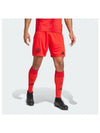 Bayern 24/25 Home Shorts Red - ADIDAS - BALAAN 2