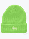 Basic Cuff Beanie Bright Green - STUSSY - BALAAN 2