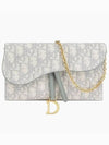 Oblique Saddle Chain Cross Long Wallet Grey - DIOR - BALAAN 2