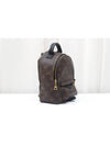 Used Luxury Daall Palm Springs Backpack Mini Monogram M44873 - LOUIS VUITTON - BALAAN 4