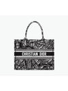 Plan Paris Medium Book Tote Bag - DIOR - BALAAN 2