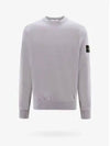 Wappen Patch Garment Dyed Sweatshirt Grey - STONE ISLAND - BALAAN 2