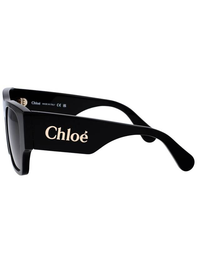 Chloé Sunglasses - CHLOE - BALAAN 5