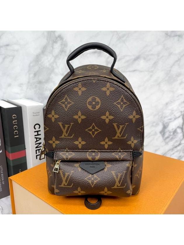 Palm Springs Monogram Mini Backpack Brown - LOUIS VUITTON - BALAAN 3