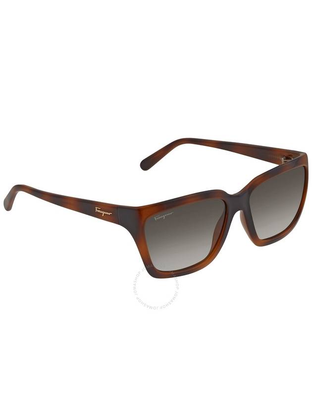 Eyewear Logo Square Sunglasses Havana - SALVATORE FERRAGAMO - BALAAN 4