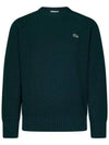 Crew Neck Wool Knit Top Green - LACOSTE - BALAAN 1