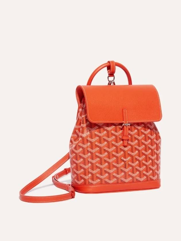 Alpine backpack - GOYARD - BALAAN 8