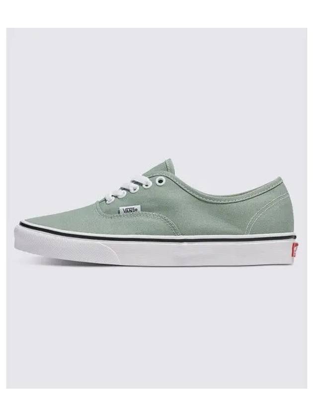 Authentic Color THEORY Iceberg Green VN000BW5CJL1 - VANS - BALAAN 2