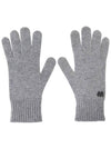 Lea Gloves Grey - MAX MARA - BALAAN 2