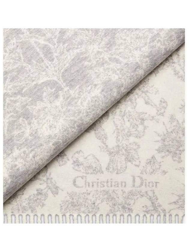 Chardons Scarf Gray Cashmere Wool 51CAR202I154 C820 - DIOR - BALAAN 4