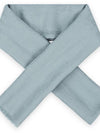 Oblique Scarf Blue - DIOR - BALAAN 3