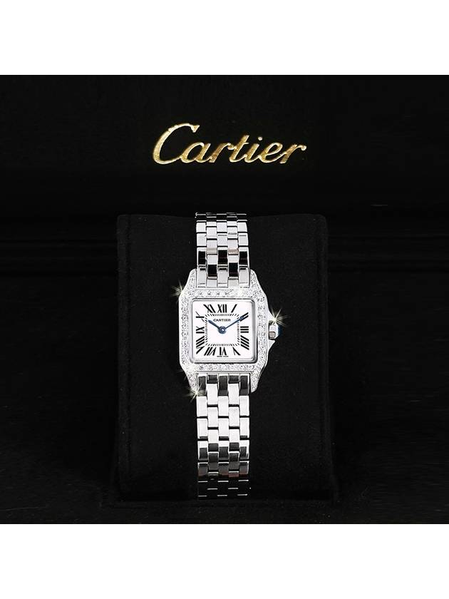 Santos Demoiselle Bezel Diamond Women s Steel Watch - CARTIER - BALAAN 9