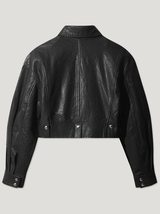 ALBANE Leather Jacket - IRO - BALAAN 2