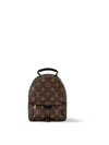 Palm Springs Monogram Mini Backpack Brown - LOUIS VUITTON - BALAAN 3