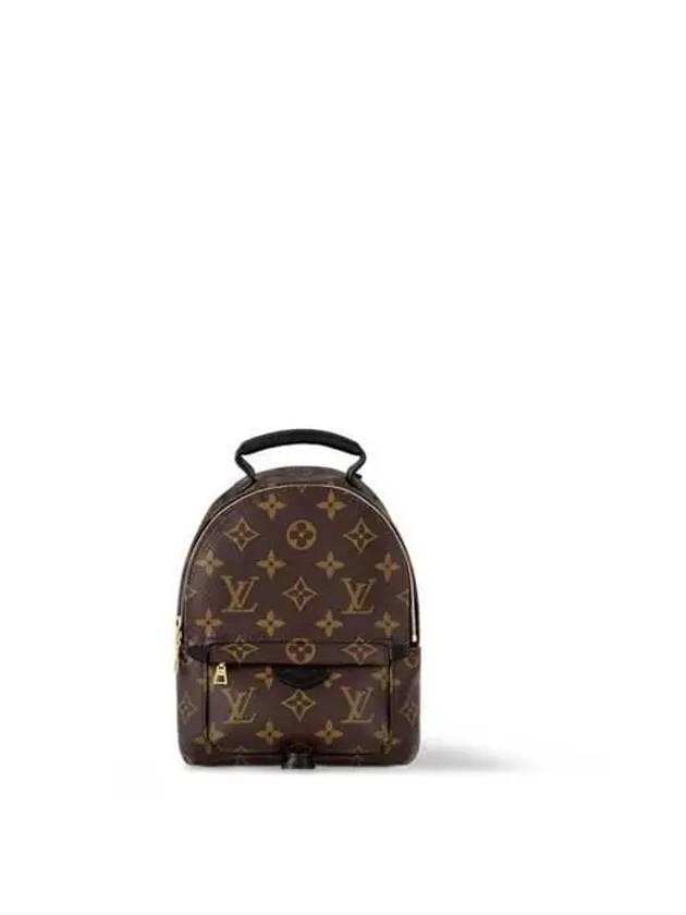 Palm Springs Monogram Mini Backpack Brown - LOUIS VUITTON - BALAAN 3