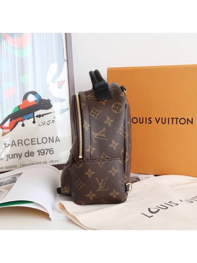 Palm Springs Monogram Mini Backpack Brown - LOUIS VUITTON - BALAAN 6